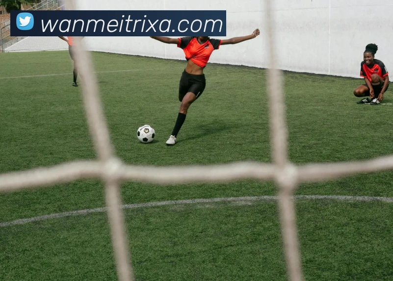 完美体育平台生态图